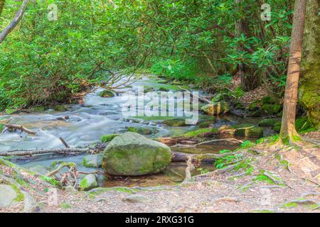 Mingus Creek an der historischen Mingus Mill im Great Smoky Mountains National Park in North Carolina. Stockfoto