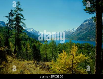 Blick auf den Silvaplana-See im Oberengadin mit Sils-Maria und Sils-See dahinter. Auf der linken Seite befindet sich der Piz da la Margna. CH-Schweiz/Graubuenden Stockfoto