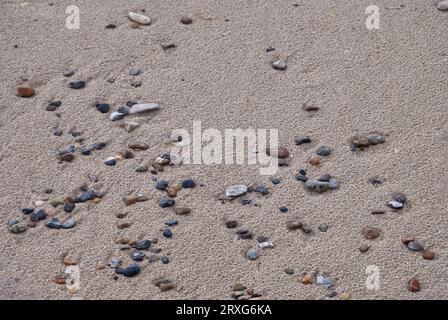 Steine im Sand am Strand, Henne Strand, Dänemark Stockfoto