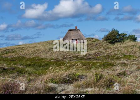 Kleines Reetdachhaus in der Nähe von Nymindegab in Dänemark Stockfoto