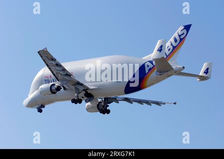Flugzeug 'Airbus Super Transporter 4' am Start, Hamburg-Finkenwerder, Deutschland Stockfoto