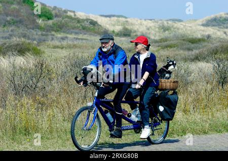 Paar mit Tandem und Miniatur-Schnauzer, schwarz-silber, im Korb, Castricum, Niederlande Stockfoto