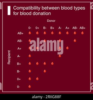 Kompatibilitätstabelle zwischen Blutgruppen für Blutspenden Stock Vektor