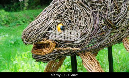 Fischgartenstatuen aus gewebter Weide, Cornwall, Großbritannien - John Gollop Stockfoto