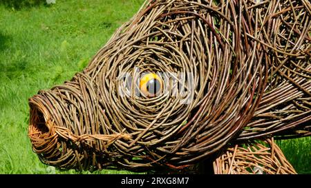 Fischgartenstatuen aus gewebter Weide, Cornwall, Großbritannien - John Gollop Stockfoto