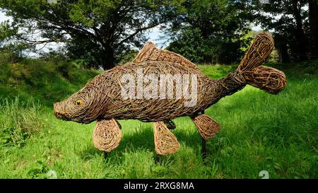 Fischgartenstatuen aus gewebter Weide, Cornwall, Großbritannien - John Gollop Stockfoto