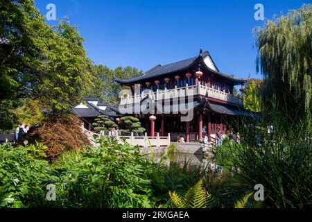 Das Teehaus bei der BUGA Mannheim 2023. Es ist das größte chinesische Teehaus in Europa und eine der Hauptattraktionen in t Stockfoto