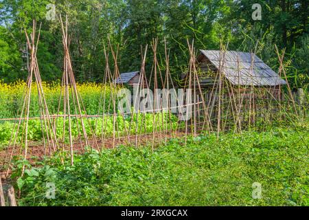 Historische Gebäude, ein Museum zur Erinnerung an das Leben und Gärten im Mountain Farm Museum im Great Smoky Mountains National Park in North Carolina. Stockfoto