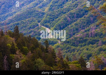 Newfound Gap Overlook im Great Smoky Mountains National Park an der Grenze zu North Carolina und Tennessee auf einer Höhe von 5.046 Metern. Stockfoto