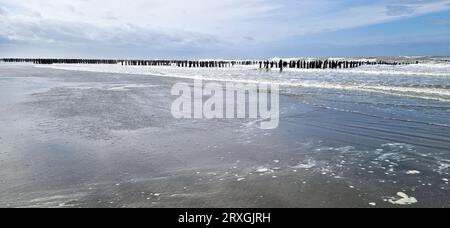 Sandstrand in der Nähe von Quend-Plage, Somme, Haut-de-France, Frankreich Stockfoto