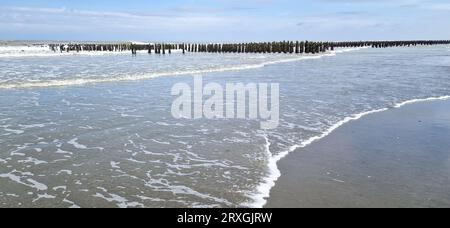 Sandstrand in der Nähe von Quend-Plage, Somme, Haut-de-France, Frankreich Stockfoto