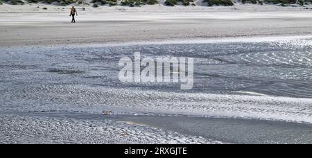 Sandstrand in der Nähe von Quend-Plage, Somme, Haut-de-France, Frankreich Stockfoto