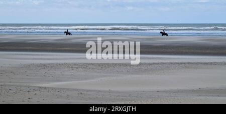 Sandstrand in der Nähe von Quend-Plage, Somme, Haut-de-France, Frankreich Stockfoto