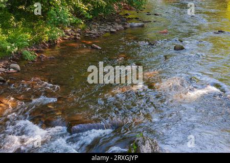 Oconaluftee River im Great Smoky Mountains National Park auf der North-Carolina-Seite des Parks an einem bewölkten Tag im Sommer. Stockfoto