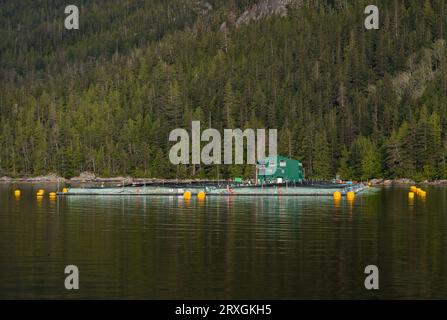 Fischzuchtbetriebe in den Küstengewässern von British Columbia, Kanada Stockfoto
