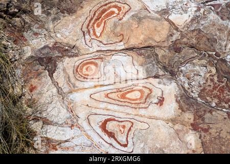 Ignimbrite vulkanische Felsformation mit Liesegang-Ringen. Die gelben Adern sind das Karosit-Mineral und rötlich sind Goethit. Dieses Foto wurde in Rodal aufgenommen Stockfoto