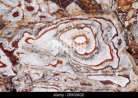 Ignimbrite vulkanische Felsformation mit Liesegang-Ringen. Die gelben Adern sind das Karosit-Mineral und rötlich sind Goethit. Dieses Foto wurde in Rodal aufgenommen Stockfoto