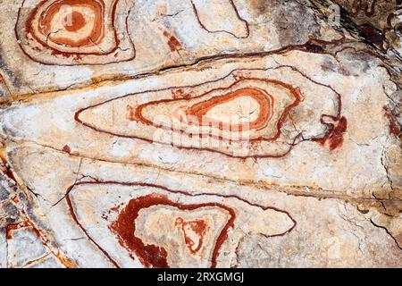 Ignimbrite vulkanische Felsformation mit Liesegang-Ringen. Die gelben Adern sind das Karosit-Mineral und rötlich sind Goethit. Dieses Foto wurde in Rodal aufgenommen Stockfoto