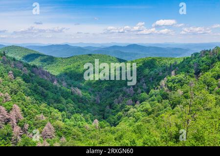 Blick auf den East Fork Pigeon River Overlook (Höhe 4955) vom Blue Ridge Parkway (Nationalpark) in North Carolina. Stockfoto