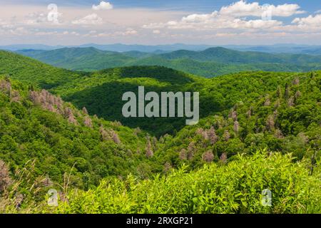 Blick vom Blue Ridge Parkway. Der Blue Ridge Parkway ist die einzige Straße, die zum Nationalpark erklärt wurde. Es umfasst 469 Meilen. Stockfoto