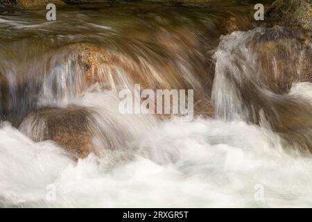 Der Gebirgsbach stürzt über Flussfelsen mit weißem Wasser und braunen Farbsteinen in Nahaufnahme Stockfoto