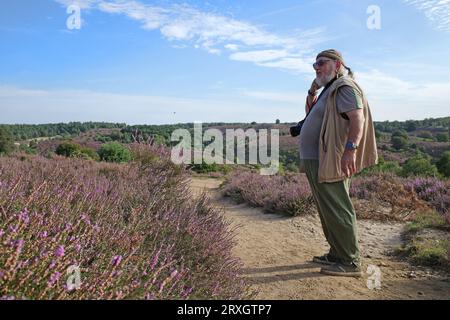Senior man mit einer Fotokamera blickt auf die atemberaubende Schönheit der Posbank, einer riesigen Heidelandschaft in den Niederlanden Stockfoto
