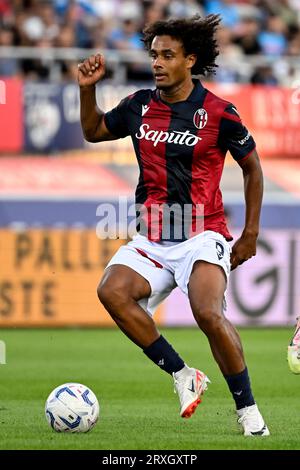 Joshua Zirkzee vom Bologna FC in Aktion während des Fußballspiels der Serie A zwischen Bologna FC und SSC Napoli im Renato Dall'Ara Stadion in Bologna (Italien), 24. September 2023. Stockfoto