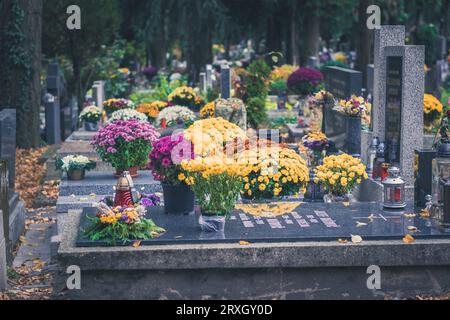 Brennende Kerzen in Laternen, dekorative Verzierungen und Chrysanthemenblüten auf dem Grab auf dem Friedhof Stockfoto