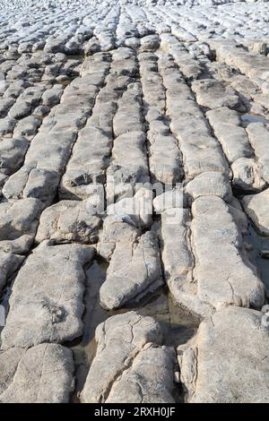 Pflastersteine am Strand von Llantwit Major, Glamorgan, Wales. Stockfoto