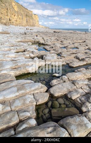 Felsbecken und Felsformationen auf dem Pflaster, am Ufer von Llantwit Major, Glamorgan, Wales. Stockfoto