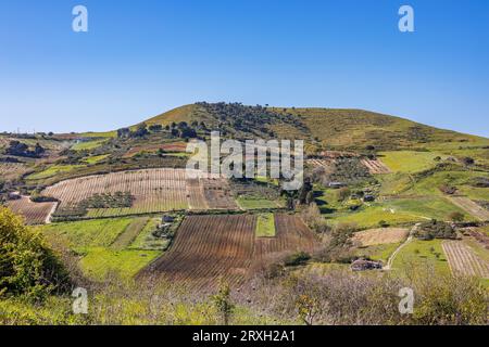 Landschaft mit Weinbergen in der Provinz Marsala auf der Insel Sizilien, Italien Stockfoto