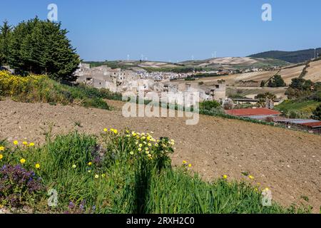 Landschaft mit Weinbergen in der Provinz Marsala auf der Insel Sizilien, Italien Stockfoto