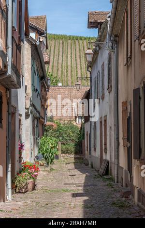 Die Weinstraße. Blick auf eine typische bunte Straße in der Innenstadt mit Weinbergen im Hintergrund Stockfoto