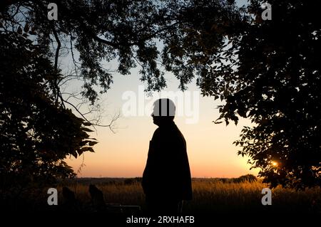 Die Silhouette eines jungen Mannes, der den Sonnenuntergang auf einem Bauernhof auf dem Land beobachtet, umrahmt von einem baumbestandenen Laub Stockfoto