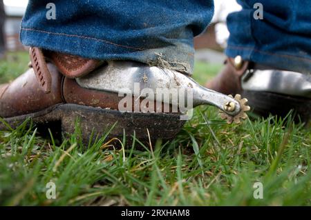 Nahaufnahme eines Cowboy-Sporns auf seinem Stiefel, der im Gras steht; Burwell, Nebraska, Vereinigte Staaten von Amerika Stockfoto