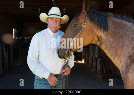 Rancher steht mit seinem Pferd in einer Scheune; Burwell, Nebraska, Vereinigte Staaten von Amerika Stockfoto