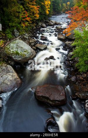 Schnell bewegender westlicher Abzweig des Ausable River im Adirondack Park, New York, USA; New York, Vereinigte Staaten von Amerika Stockfoto