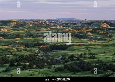 Blick auf die Badlands des Painted Canyon im Theodore Roosevelt National Park; North Dakota, USA Stockfoto