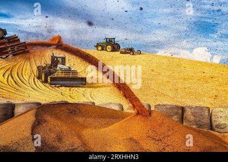 Traktoren verpacken einen riesigen Maishügel auf einem Futterplatz in der Nähe von Imperial, Nebraska, bevor Sturmwolken hereinbrechen. Imperial, Nebraska. Stockfoto