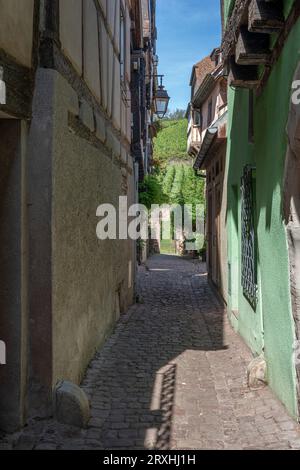 Die Weinstraße. Blick auf eine typische bunte Straße in der Innenstadt mit Weinbergen im Hintergrund Stockfoto