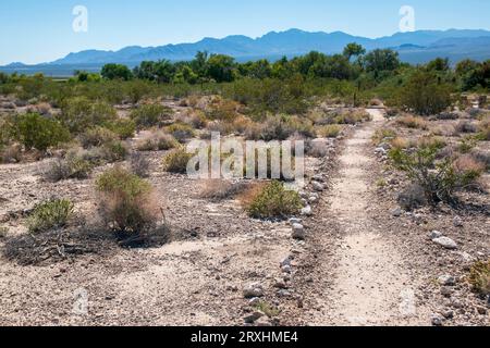 Das Corn Creek Visitor Center nördlich von Las Vegas, NV, informiert Besucher über die umliegende Landschaft und die Tierwelt. Stockfoto