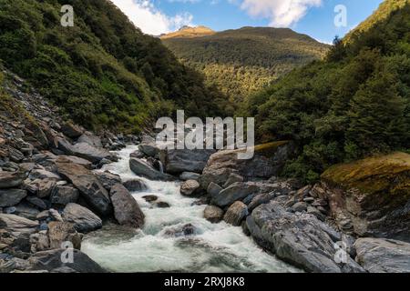 Üppiger einheimischer Wald im Haast Pass in Neuseeland mit einem mächtigen reißenden Fluss, der durch die Schlucht fließt Stockfoto