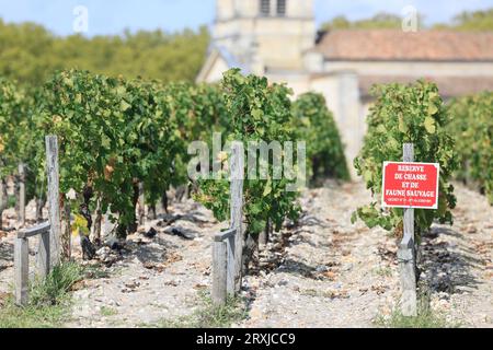 Margaux im Médoc, dem berühmtesten Weinberg der Welt. Wein, Weinberg, Trauben, Rotwein und Tourismus. Reben und Weinberge von Bordeaux-Weinen. Rn Stockfoto