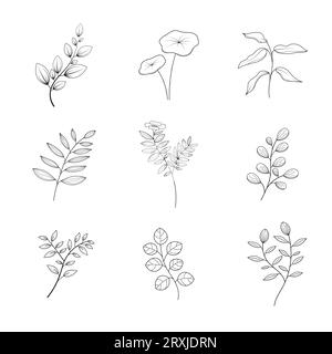 Minimalistische Blumen und botanische Kollektion. Von Hand gezeichneter Blumenzweig, Blätter, Kräuter und Wildpflanzen im Linienstil. Zur Dekoration. Stock Vektor