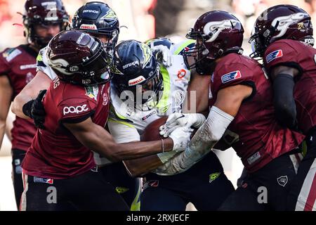 Düsseldorf, Deutschland. September 2023. American Football: Profiliga elf, Rhein Fire - Stuttgart Surge, Play-off-Runde, Finale. Der Stuttgarter Kai Hunter kämpft mit der Rheinfeuerwehr um den Ball. Quelle: Federico Gambarini/dpa/Alamy Live News Stockfoto