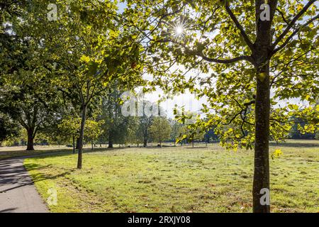 Catford Local Area Photography Stockfoto