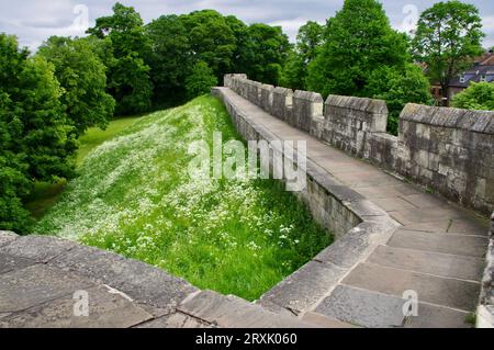 Stadtmauern von York City mit Blick auf Grasbänke und Bäume. York, Großbritannien. Stockfoto