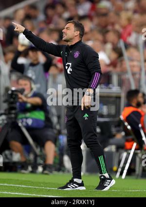 Assistenztrainer Zsolt Lšw an der Seitenlinie FC Bayern München vs Manchester United UEFA Champions League, Gruppenphase 1. Spieltag 20.09.2023 © diebilderwelt / Alamy Stock Stockfoto