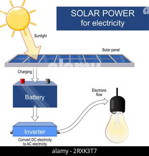 Solarenergie. Ein Sonnenkollektor wandelt Sonnenlicht in Elektrizität um. Kette der Umwandlung von Sonnenlicht mit einem Sonnenkollektor, einer Batterie, einem Wechselrichter in ein Glühlampenlicht Stock Vektor