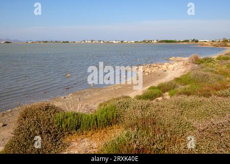 Tigaki Salzsee (Alykes) auf der Insel Kos. Griechenland Stockfoto